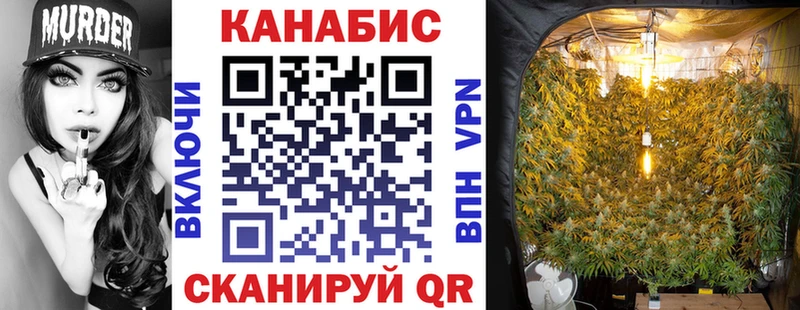 дарнет шоп  Ростов-на-Дону  Марихуана конопля 